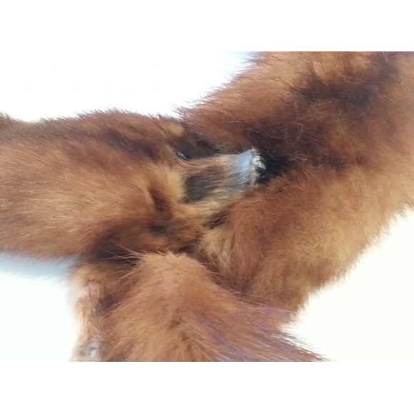 Genuine Vintage Mink Pelt Stole Three Full Body Real Fur Red/Brown Wrap Shawl - Picture 10 of 13